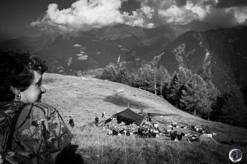 Valtellina ed i suoi alpeggi- Il Bitto articolo blog Elisa Valdambrini Photography